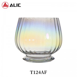 Lead Free High Quantity ins Vase Glass T124AF